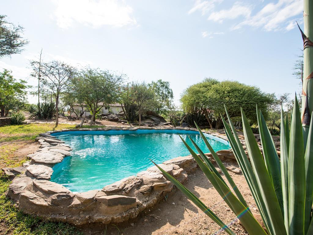 Halala Africa Lodge - Eagle Rock Lodge Malabar Zewnętrze zdjęcie