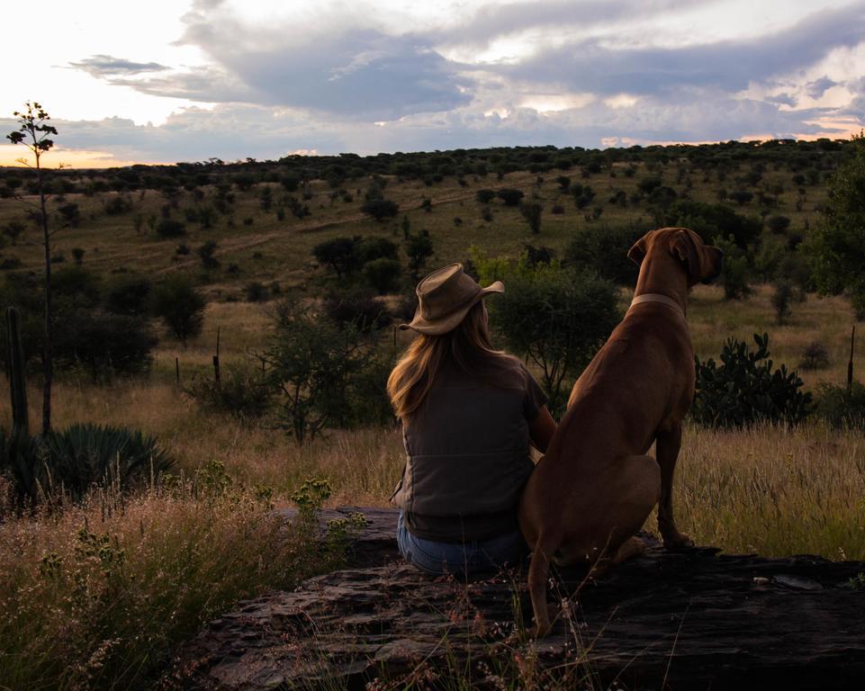 Halala Africa Lodge - Eagle Rock Lodge Malabar Zewnętrze zdjęcie