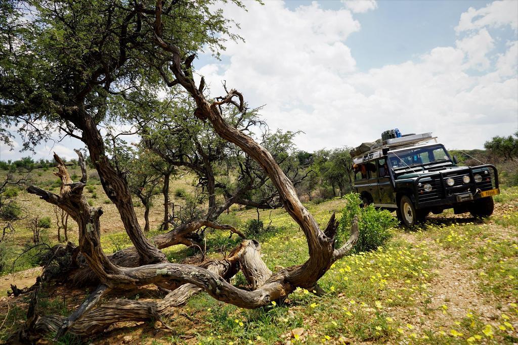Halala Africa Lodge - Eagle Rock Lodge Malabar Zewnętrze zdjęcie