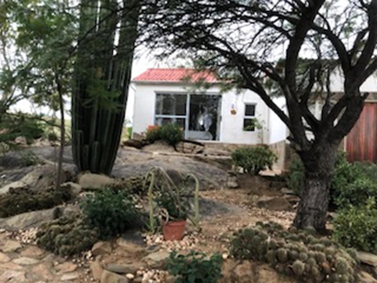 Halala Africa Lodge - Eagle Rock Lodge Malabar Zewnętrze zdjęcie